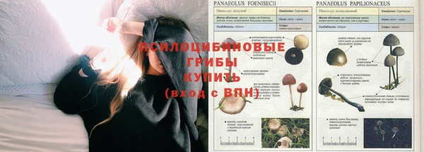 jwh Пестово