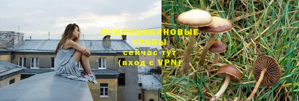 Альфа ПВП Покровск