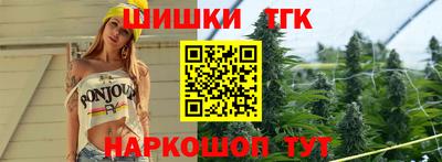 a pvp Камышлов