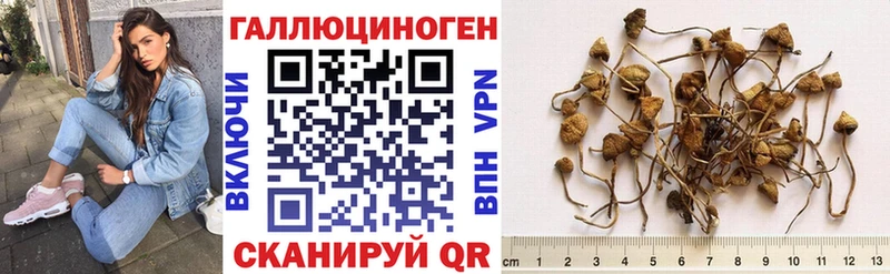 Псилоцибиновые грибы ЛСД  как найти наркотики  Нефтекамск 