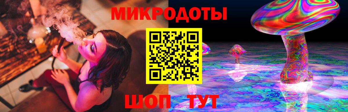 Псилоцибиновые грибы Psilocybe Нефтекамск