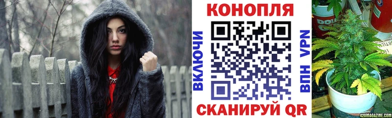 Бошки Шишки семена  darknet формула  Нефтекамск 